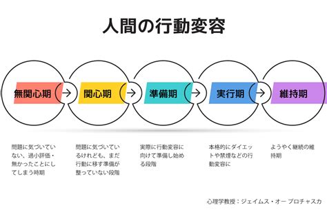 態度理論|行動実験による態度測定 ―社会心理学における態度研究への基。